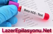 Özel Hastane Beta HCG Testi Fiyatı Ne Kadar?