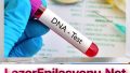 Özel Hastane DNA-Babalık Testi Fiyatı Ne Kadar?